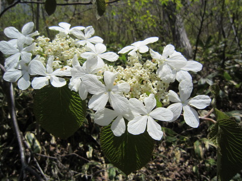 e0110940_017856.jpg