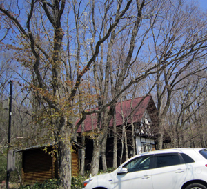 e0110940_0374151.jpg
