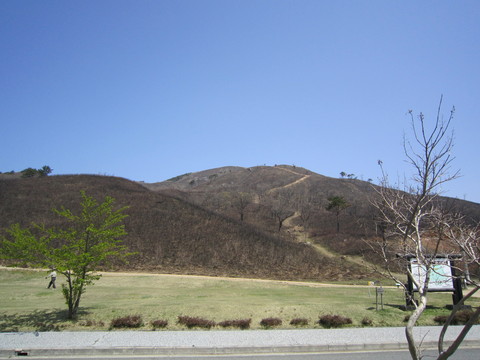 e0110940_065286.jpg