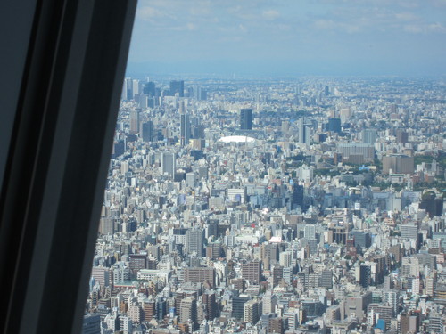 息子が撮った写真_f0033046_19471093.jpg