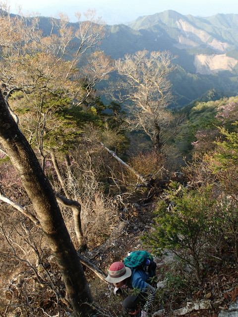 アケボノ詣で in 夏木山_e0151447_23325261.jpg