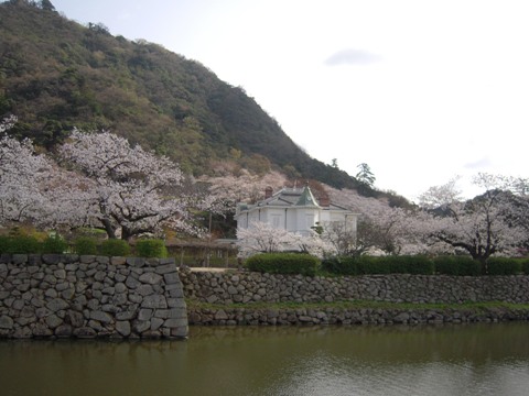 久松公園にてー内堀と桜（鳥取市）_d0049152_10594481.jpg