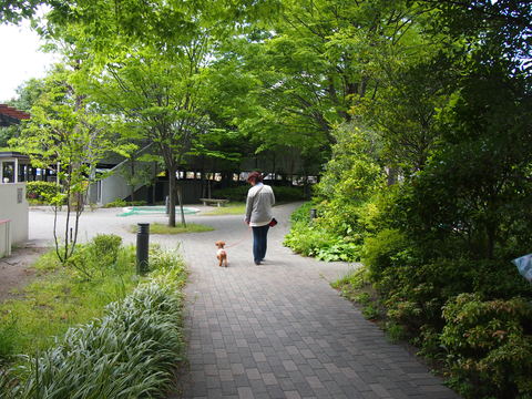 b0268454_22424496.jpg