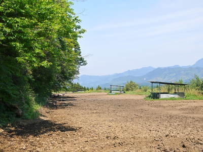 走る豚 「やまあい村」と「走る豚」誕生秘話_a0254656_17353496.jpg