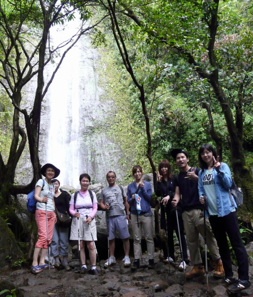 MANOA FALLS TRAIL_a0132260_135295.jpg