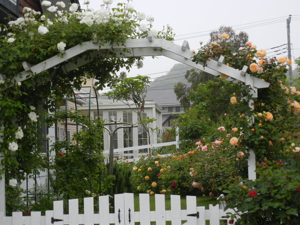 ’13,5,15(水)秘密の花園!_f0060461_11465557.jpg