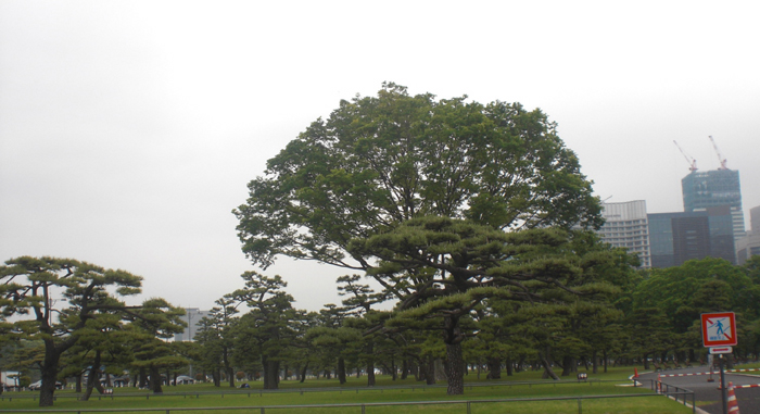 a0053063_032768.jpg