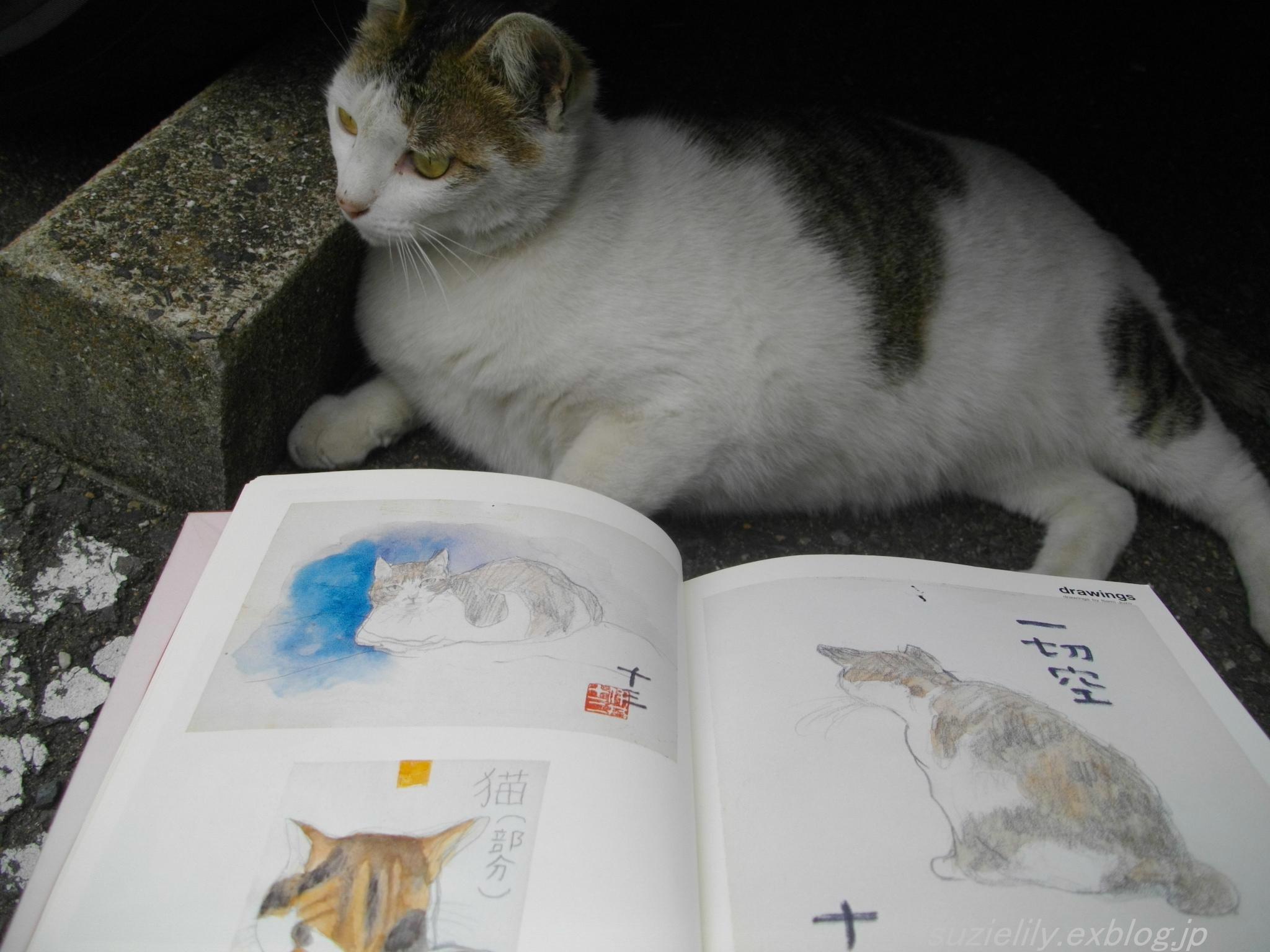 １Ｑ８４に猫の町_e0265768_19394289.jpg