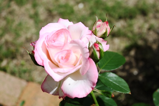 e0272870_21224315.jpg