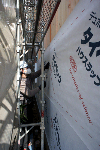 b0155675_813341.gif