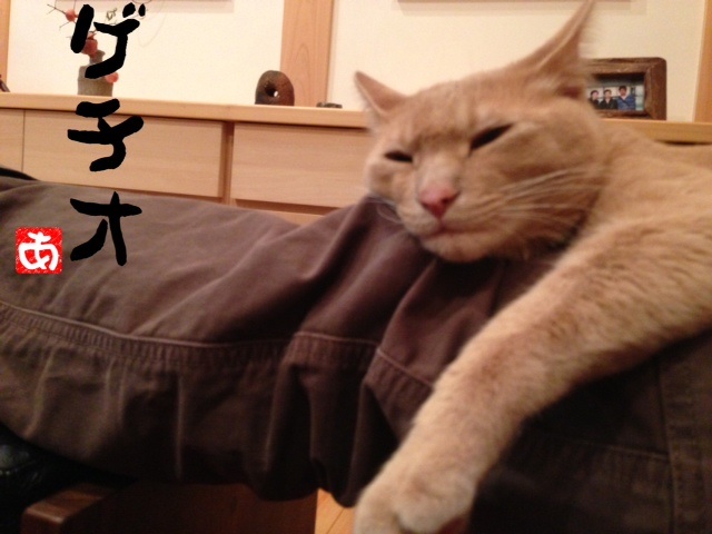 今日で１年_c0234975_7484249.jpg