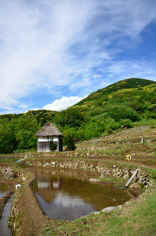 石部の棚田　田植え　2013_c0116284_20452079.jpg