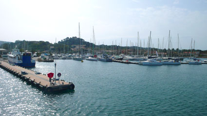 b0107891_529390.jpg