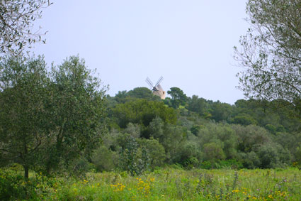 b0107891_5294853.jpg