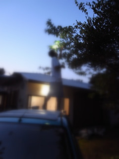 a0137192_16505891.jpg