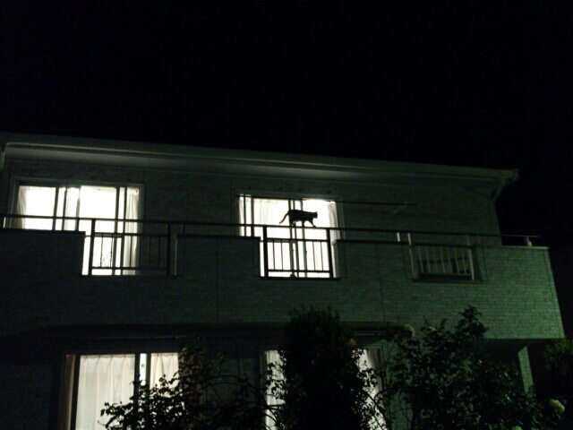 b0017899_16183766.jpg