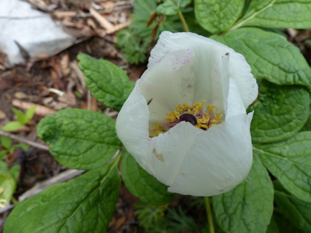 b0025101_22404337.jpg