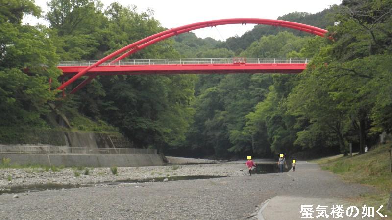 再編集「ヤマノススメ」舞台探訪（聖地巡礼）００３飯能市内その３(割岩橋と飯能河原）_e0304702_18492523.jpg