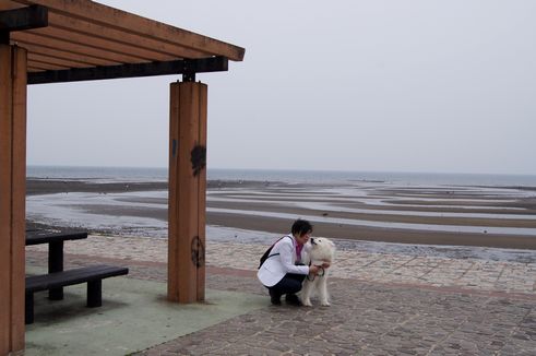 浜の宮　綱敷天満宮_d0149103_8581732.jpg