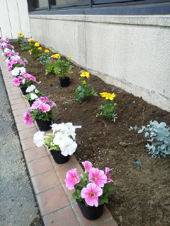 花壇作りのお手伝い_f0255704_16561699.jpg