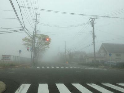 霧の日_c0066106_213650.jpg