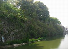 d0242207_229656.jpg