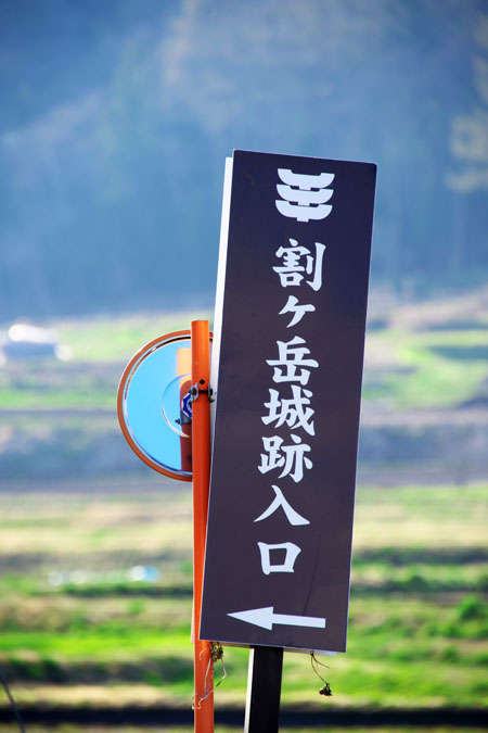 長野県　信濃町の「称名寺の枝垂れ桜」_a0263109_11205760.jpg