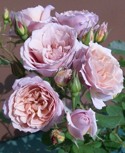 c0147909_1238100.jpg