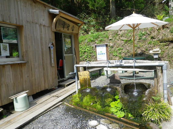 2013.05.14(火)氷ノ山ハイキング_a0062810_14482352.jpg