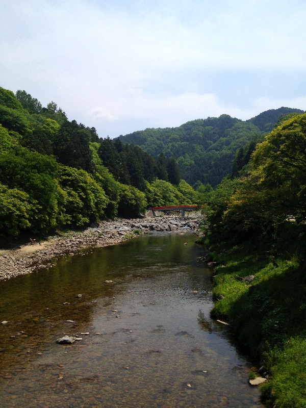 五平餅に合う紅茶!?_b0220318_1922971.jpg