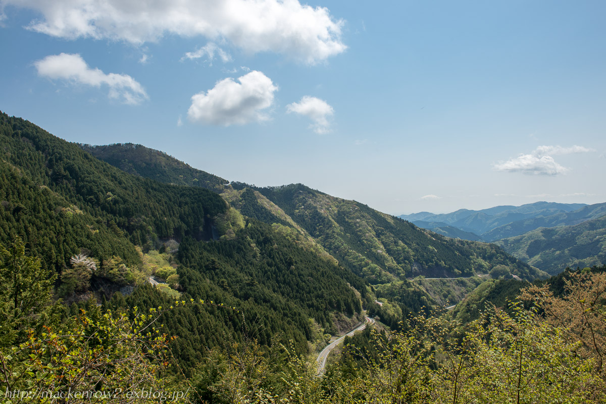 檜原都民の森_a0232322_10541581.jpg