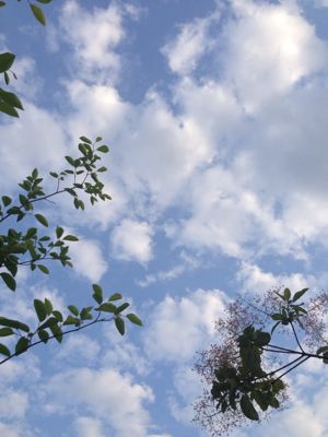 天使チャンからのプレゼントと空。_b0253627_22171150.jpg