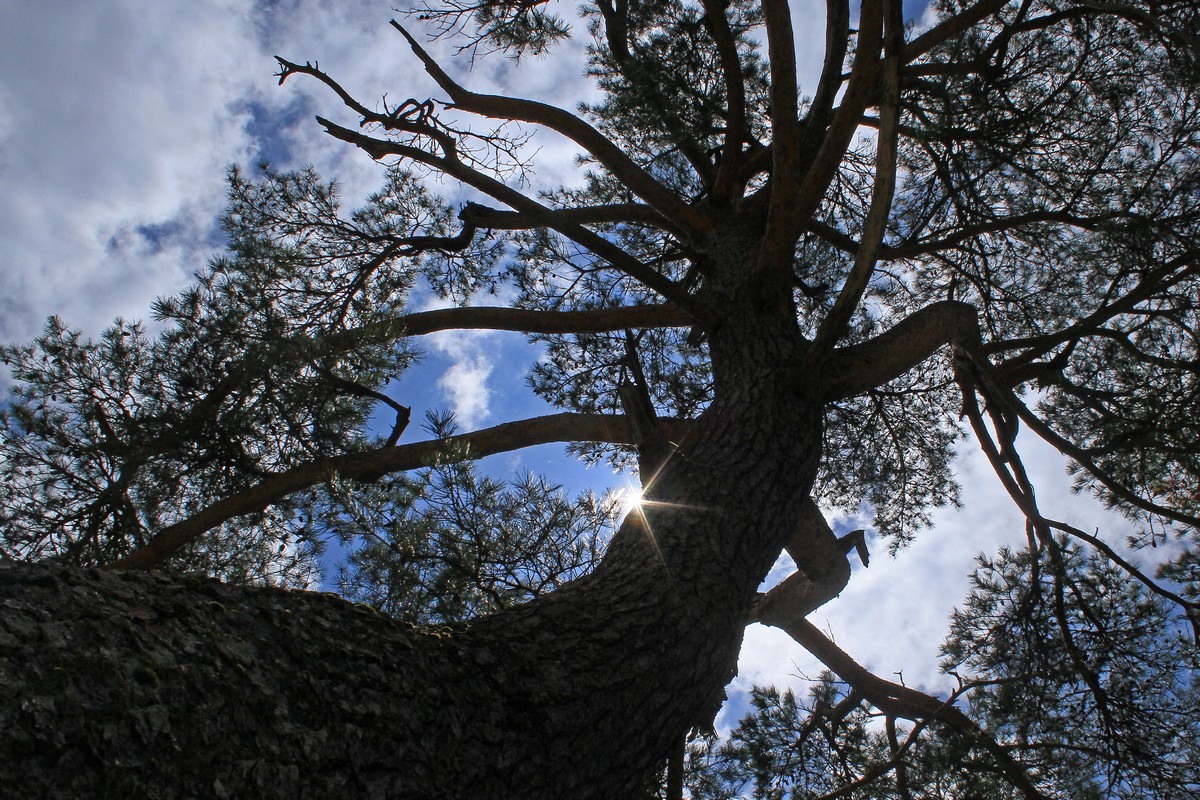 c0104227_519291.jpg