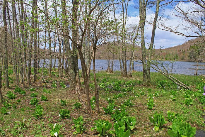 c0104227_5203787.jpg