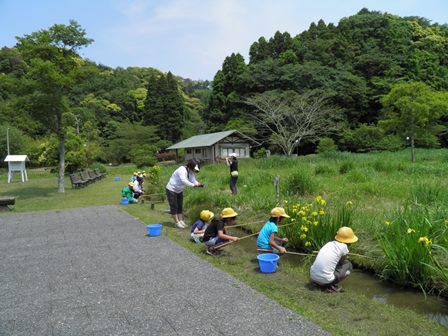 生活科の校外学習_a0123836_16143875.jpg