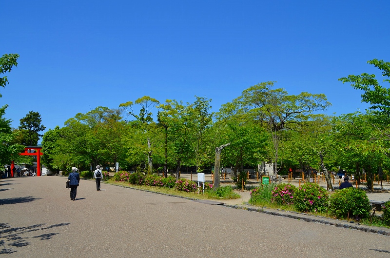 久し振りの快晴に恵まれた、新緑の「円山公園」_e0237645_1740551.jpg