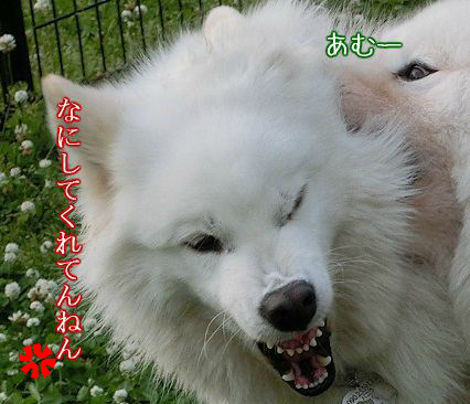 a0166954_2352129.png