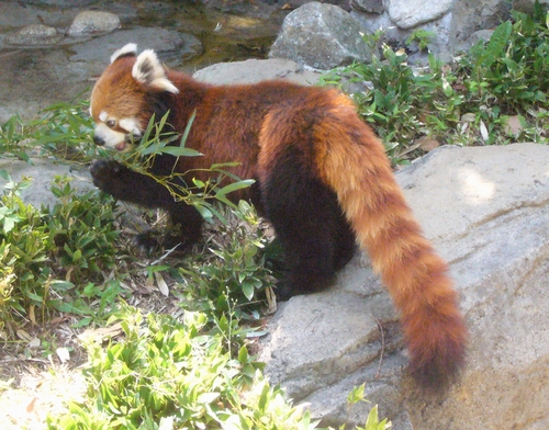 d0204154_18293872.jpg