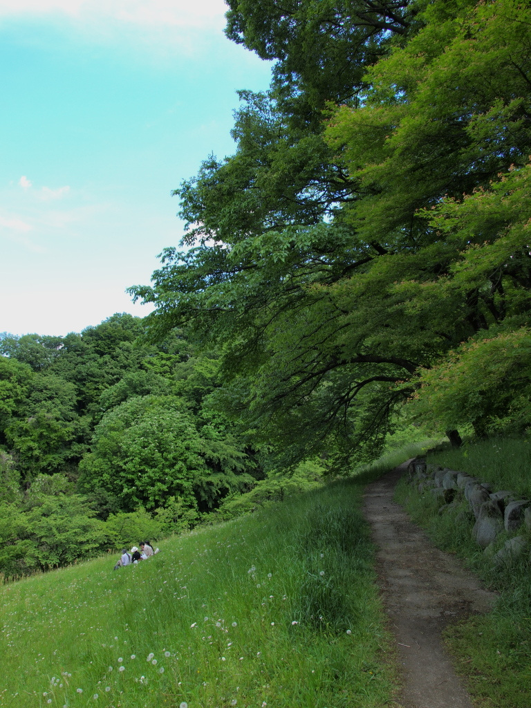 五月晴れ_e0290358_0393013.jpg