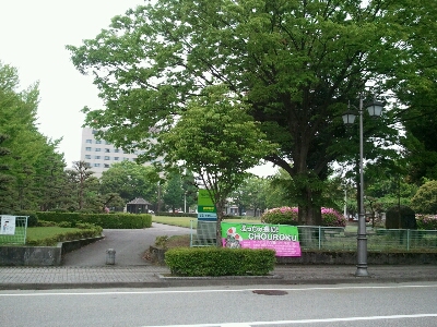 よっしゃ来い!!CHOUROKUまつり_a0243562_13585955.jpg
