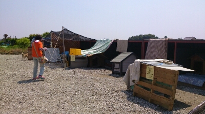 b0150665_1371310.jpg