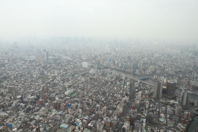 f0164575_1048576.jpg