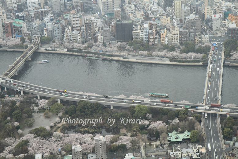 f0164575_942351.jpg