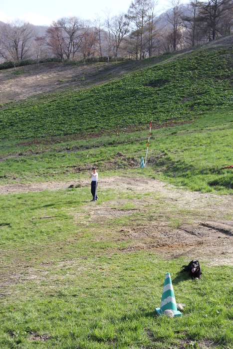 e0068480_2256890.jpg