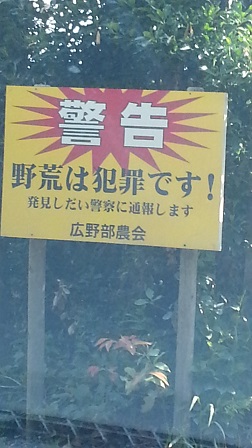 f0228680_1122031.jpg