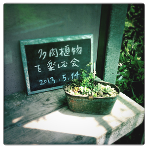 多肉植物を楽しむ会_c0187782_1054375.jpg