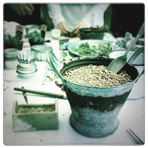 多肉植物を楽しむ会_c0187782_10544964.jpg