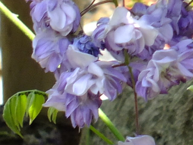 e0145782_19175085.jpg