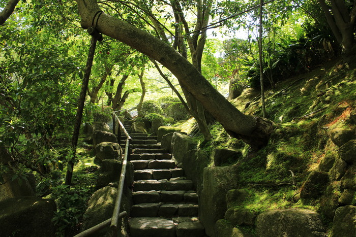 鎌倉 報国寺_e0320384_8395383.jpg