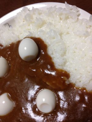 カレーinうずらの卵_b0201285_21292189.jpg